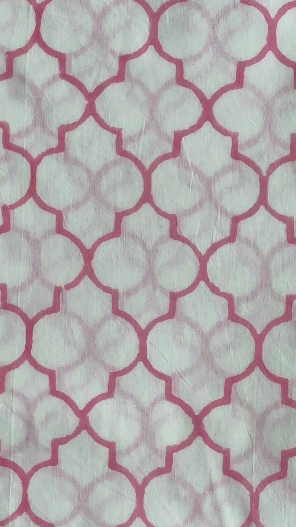 Detailed view of the Two Paisleys Rose Trellis fabric, a versatile and cheerful choice for modern home decor and sewing projects.
